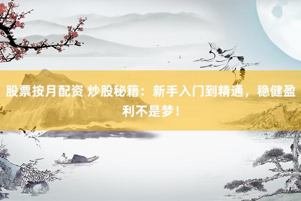 股票按月配资 炒股秘籍：新手入门到精通，稳健盈利不是梦！