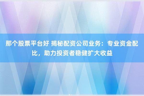 那个股票平台好 揭秘配资公司业务：专业资金配比，助力投资者稳健扩大收益
