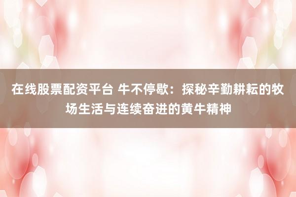 在线股票配资平台 牛不停歇：探秘辛勤耕耘的牧场生活与连续奋进的黄牛精神
