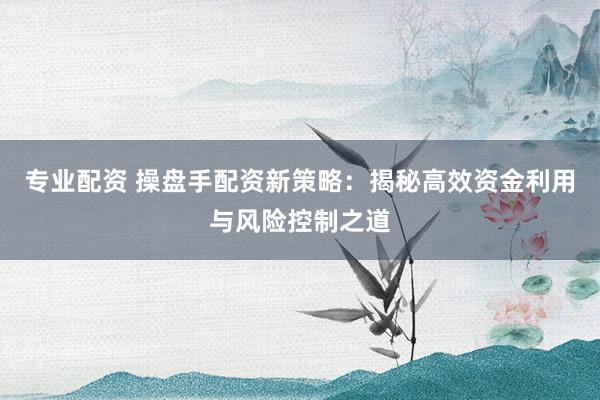 专业配资 操盘手配资新策略：揭秘高效资金利用与风险控制之道
