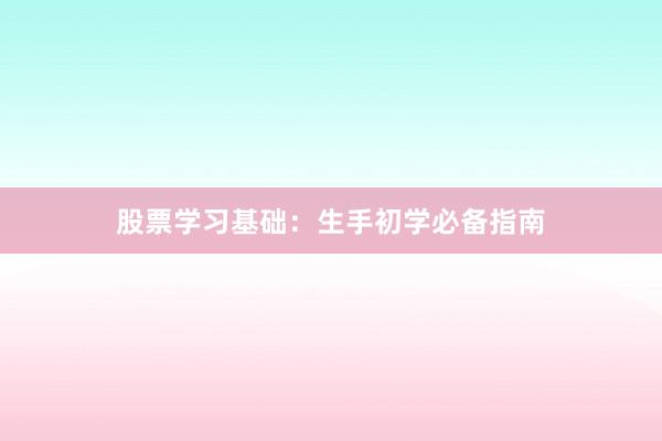 股票学习基础：生手初学必备指南