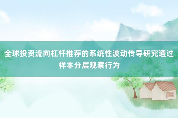 全球投资流向杠杆推荐的系统性波动传导研究通过样本分层观察行为